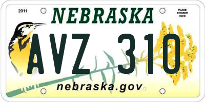 NE license plate AVZ310