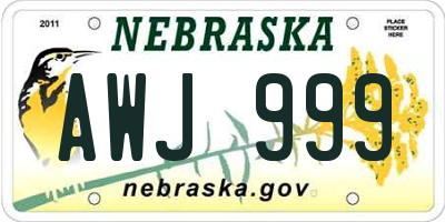NE license plate AWJ999