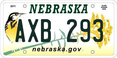 NE license plate AXB293