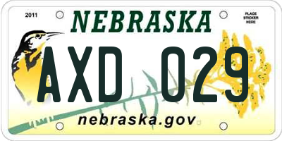 NE license plate AXD029