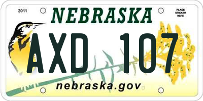 NE license plate AXD107