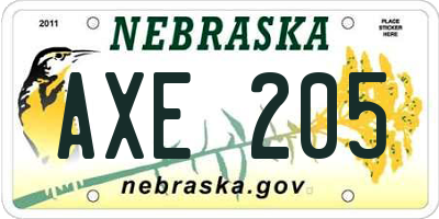 NE license plate AXE205