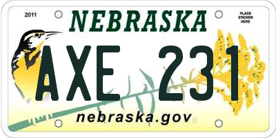 NE license plate AXE231