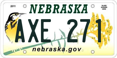 NE license plate AXE271