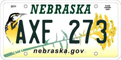 NE license plate AXF273