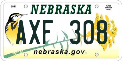 NE license plate AXF308