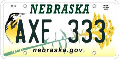 NE license plate AXF333