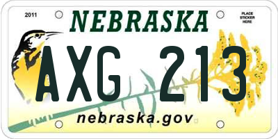 NE license plate AXG213