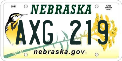 NE license plate AXG219