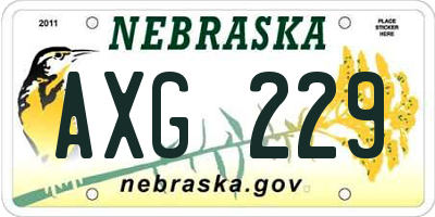 NE license plate AXG229