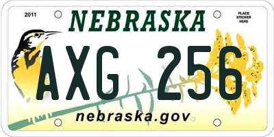 NE license plate AXG256
