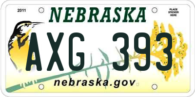 NE license plate AXG393