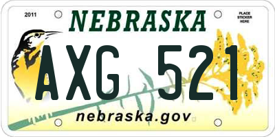 NE license plate AXG521