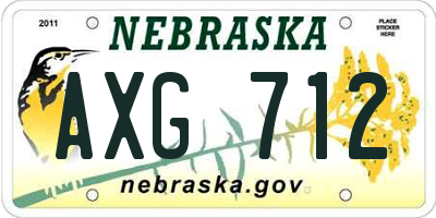 NE license plate AXG712