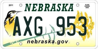 NE license plate AXG953
