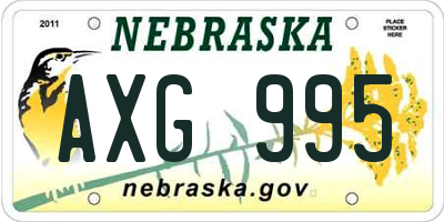 NE license plate AXG995