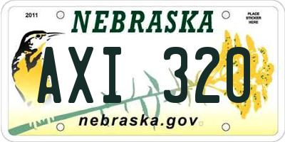 NE license plate AXI320