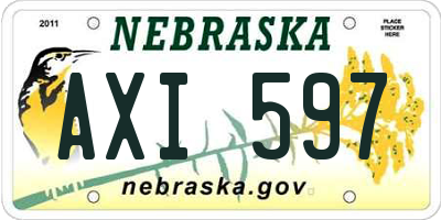 NE license plate AXI597