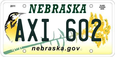 NE license plate AXI602