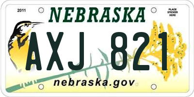 NE license plate AXJ821