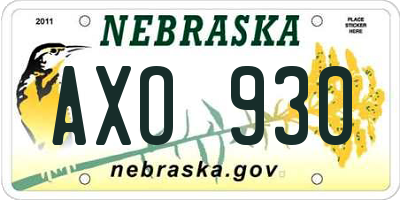NE license plate AXO930