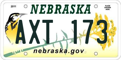 NE license plate AXT173