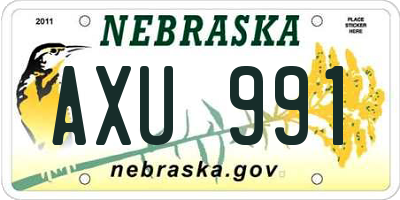 NE license plate AXU991