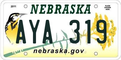 NE license plate AYA319