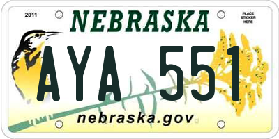 NE license plate AYA551