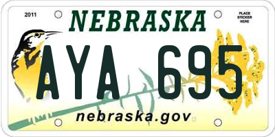 NE license plate AYA695