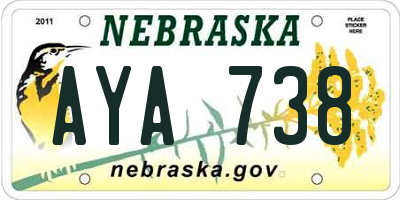 NE license plate AYA738