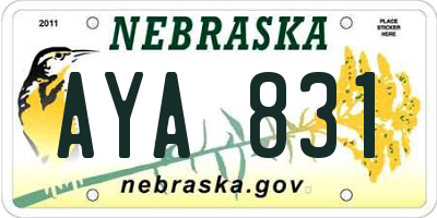 NE license plate AYA831