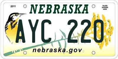 NE license plate AYC220