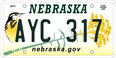 NE license plate AYC317