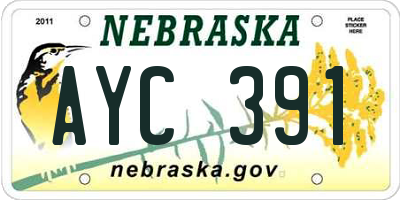 NE license plate AYC391