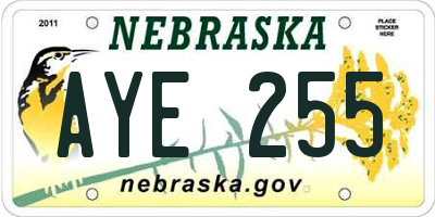 NE license plate AYE255