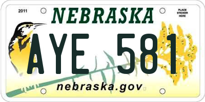 NE license plate AYE581