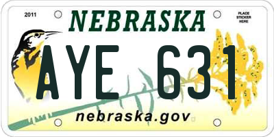 NE license plate AYE631