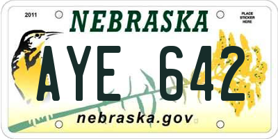 NE license plate AYE642