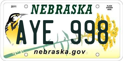NE license plate AYE998