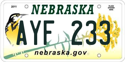 NE license plate AYF233