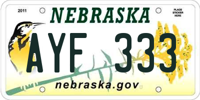 NE license plate AYF333