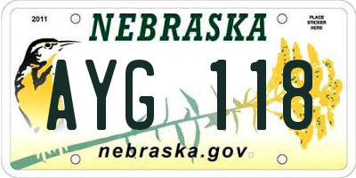 NE license plate AYG118