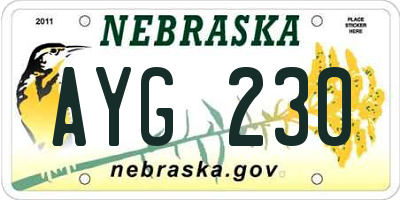 NE license plate AYG230