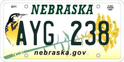 NE license plate AYG238