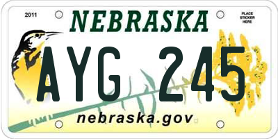 NE license plate AYG245