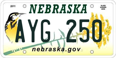 NE license plate AYG250
