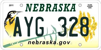 NE license plate AYG328
