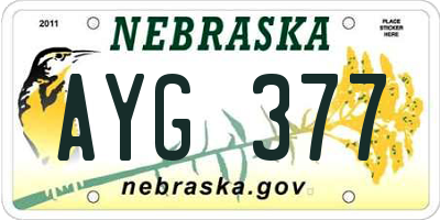 NE license plate AYG377