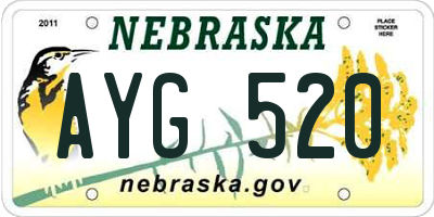 NE license plate AYG520